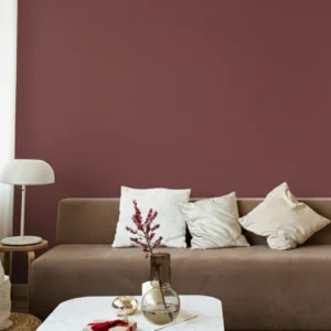 030 RED LEATHER peinture haut de gamme terracotta naturelle murs salon.